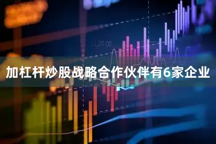 加杠杆炒股战略合作伙伴有6家企业