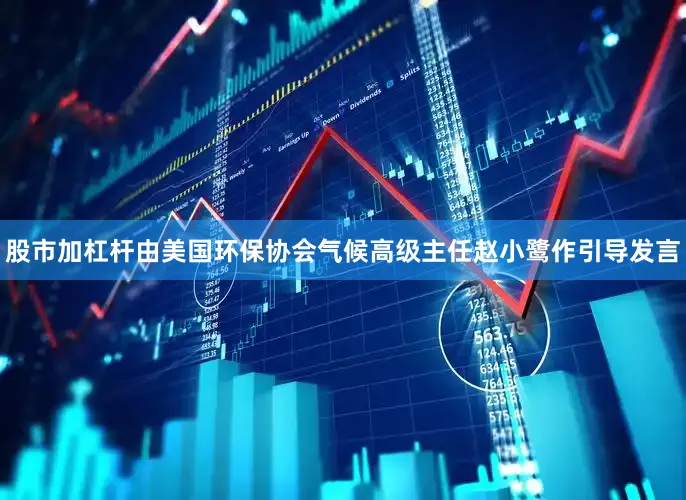 股市加杠杆由美国环保协会气候高级主任赵小鹭作引导发言
