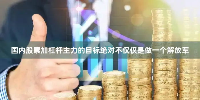 国内股票加杠杆主力的目标绝对不仅仅是做一个解放军