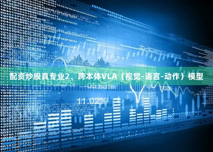 配资炒股真专业2、跨本体VLA（视觉-语言-动作）模型